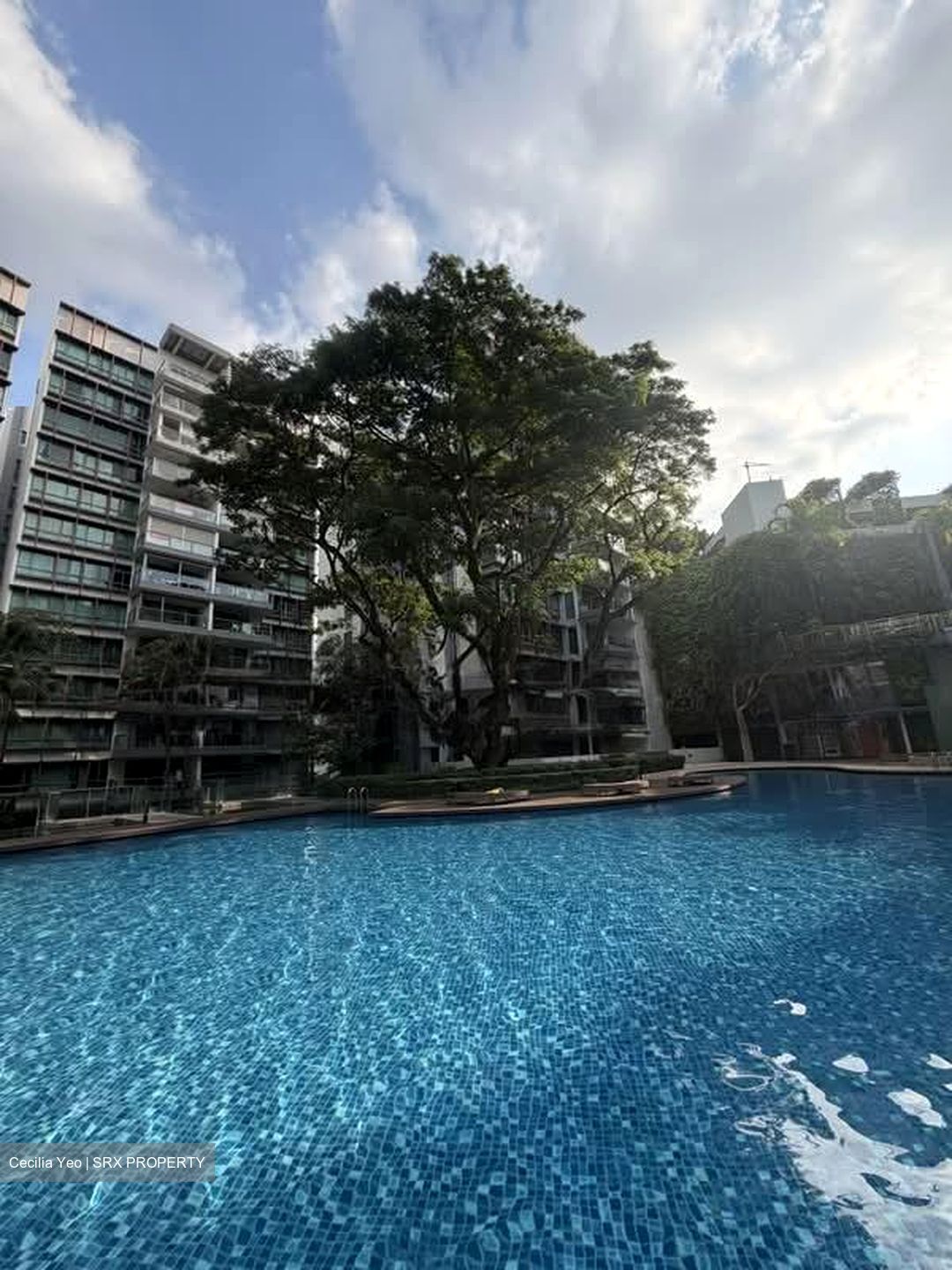 Double Bay Residences (D18), Condominium #605895651